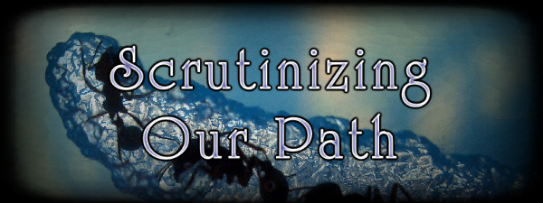 Scrutinizing Our Path as the New Year Approaches