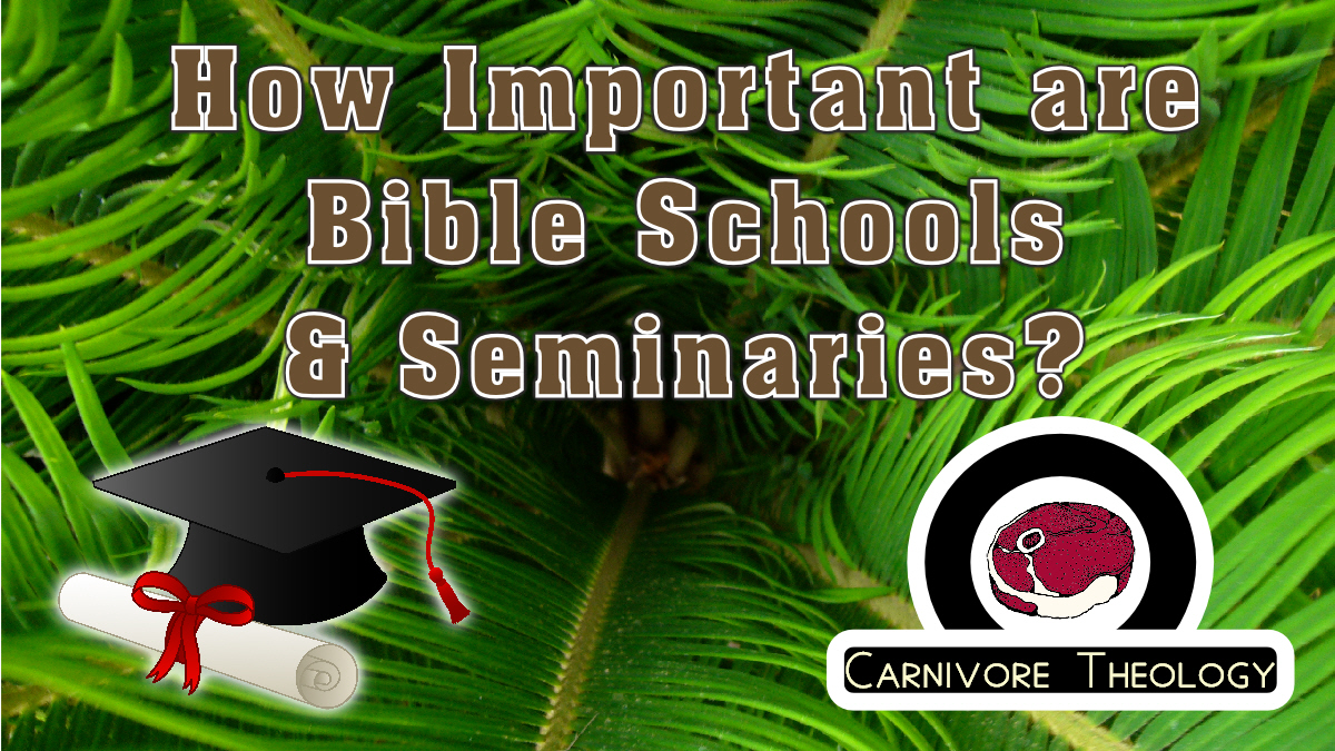 How Important are Bible Schools, Seminaries and Other Forms of Formal Theological Education? (Carnivore Theology: Ep. 23)