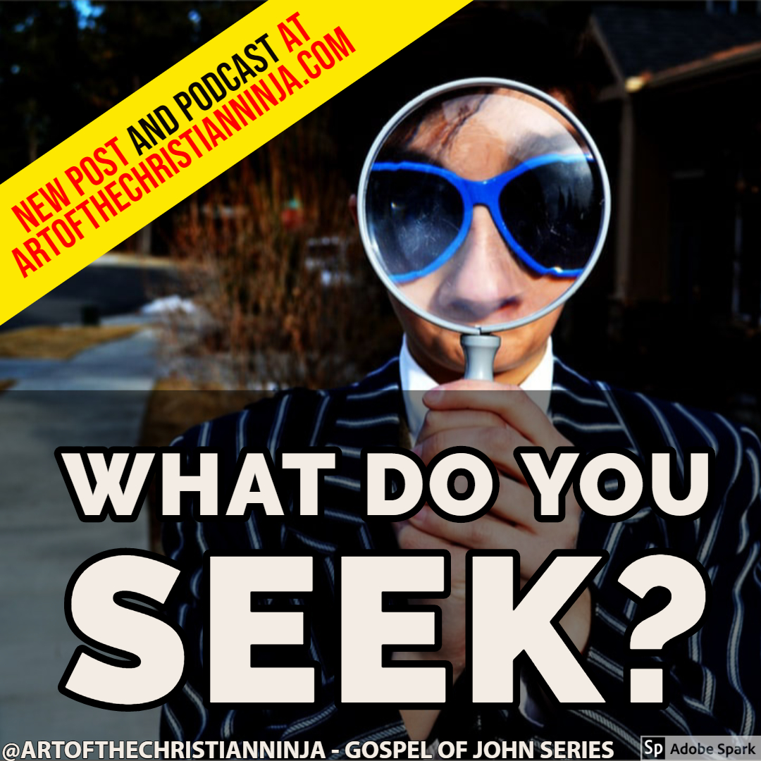What Do You Seek? (Gospel of John Series)